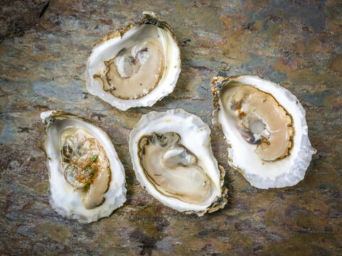 Four Oysters on a Decorative Tile