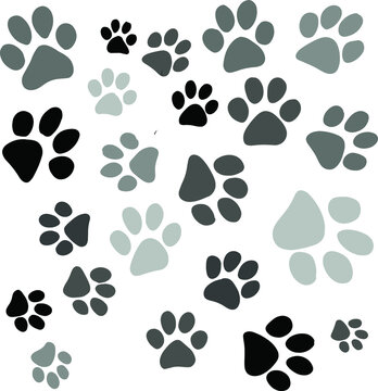 Vector animal footprints. Can be used for different purposes