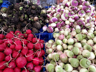Red and black radishes, turnips and kohl rabies on a farmers market stall in Yalikavak, Bodrum,...