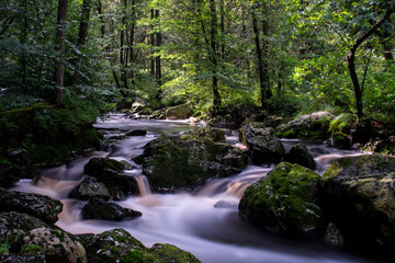 Rivière sauvage 1