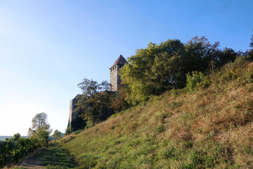 Fototapeta na wymiar The Castle Lichtenberg in Oberstenfeld, Baden-Württemberg, Germany, Europe.