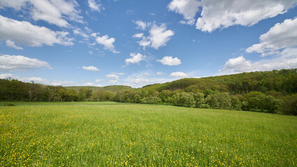 Wälder und Wiesen im sommerlichen Kerkerbachtal