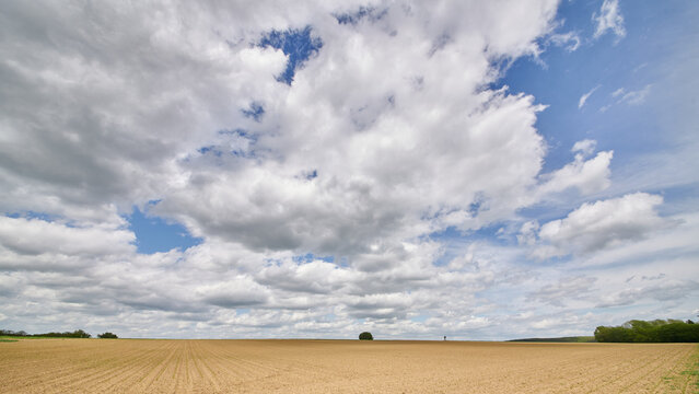 Dramatische Wolken über Feldern mit aufkeimendem Mais