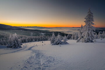 A frosty winter morning in Beskid Żywiecki. Views of the Tatra Mountains and Mala Fatra.