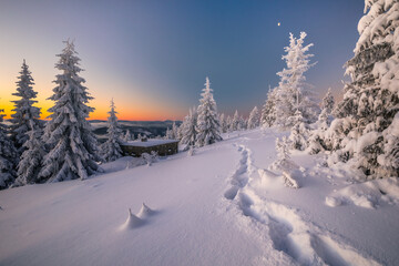 A frosty winter morning in Beskid Żywiecki. Views of the Tatra Mountains and Mala Fatra.