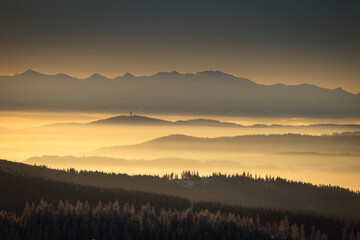 A frosty winter morning in Beskid Żywiecki. Views of the Tatra Mountains and Mala Fatra.