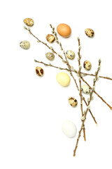 Quail Easter eggs and willow branches on white background