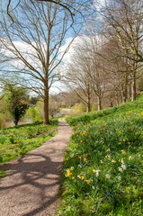 Obraz premium footpath in the park