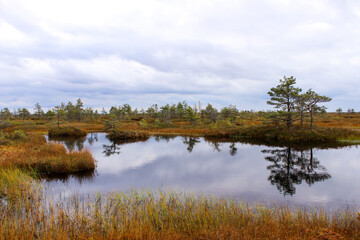 lake in autumn