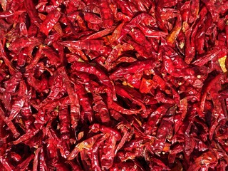 Fototapeta premium Kishmiri dried red chillies,indian chilies