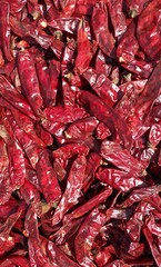 Kishmiri dried red chillies, kishmiri chilli,