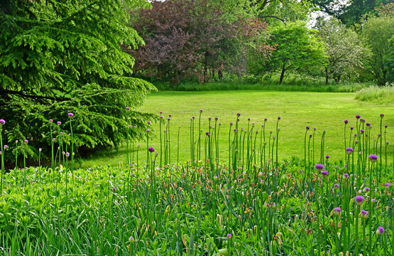 London; Kew, England - may 5 2019 : the Kew Gardens