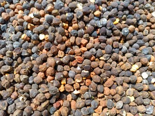 Brown fry chickpeas