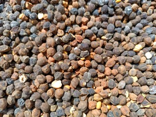 Dried chickpeas,