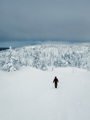 Lonely traveler in a fabulous winter forest. Severe northern weather, poor visibility. Polar expedition. Snowy slope in a foggy frost shroud.