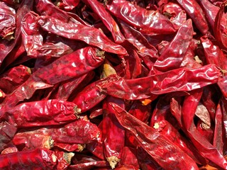 Red chilli drying in sunlight for making powder