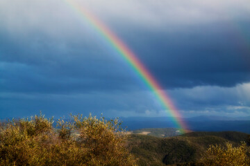 sunshine and showers
