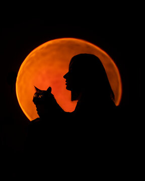 Moonlight