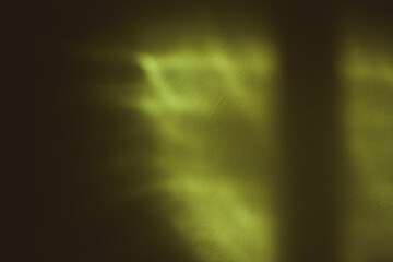 abstract shadows and sunlight play different shapes on green room wall
