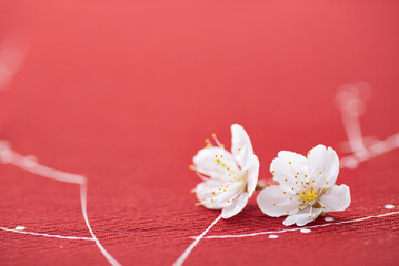 赤の背景と桜の花