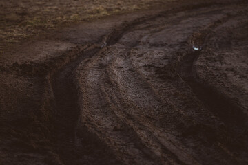 deep tire tracks on wet muddy dirt road over agricultural field in early spring sunset light