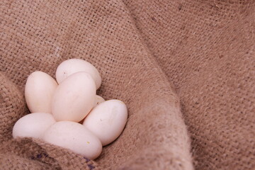 top view Fresh white shell chicken eggs on a burlap bed, with copy space. Selective focus image.