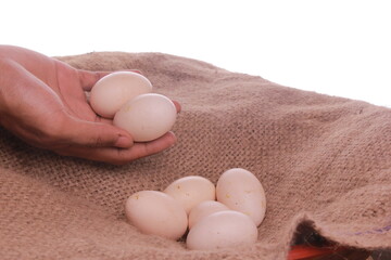 young asian boy holding fresh white shell eggs on brown cloth bed. selective focus