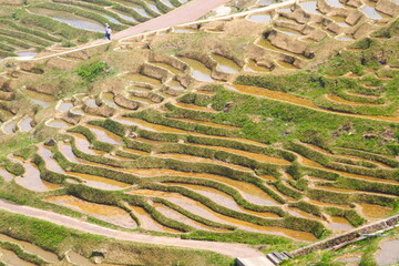 世界農業遺産 石川県輪島 白米千枚田 棚田 田植え風景
Globally Important...