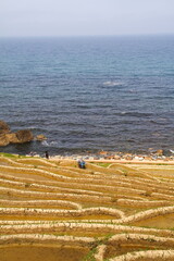 世界農業遺産 石川県輪島 白米千枚田 棚田 田植え風景
Globally Important...