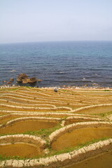 世界農業遺産 石川県輪島 白米千枚田 棚田 田植え風景
Globally Important...