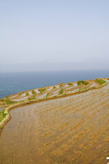 世界農業遺産 石川県輪島 白米千枚田 棚田 田植え風景
Globally Important...