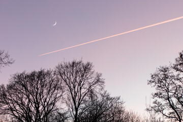 aircraft, tree and moon in the evening