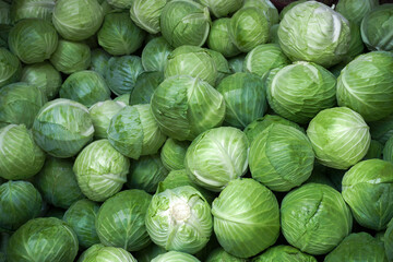 natural cabbage for background texture. selling vegetables at the local market.