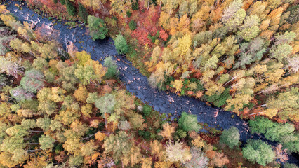 Autumn in Lindulovskaya Roshcha