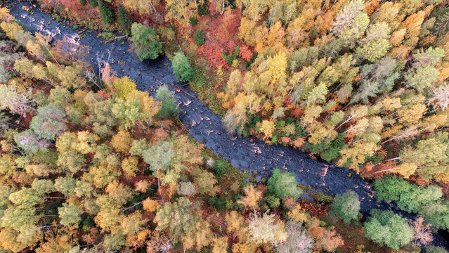 Autumn in Lindulovskaya Roshcha