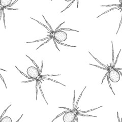 Seamless pattern of monochrome spiders illustration. Vector illustration template