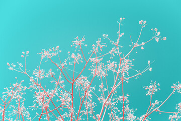 Infrared photography of  tree branch