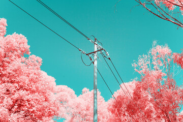 Infrared photography of electric pole with plants