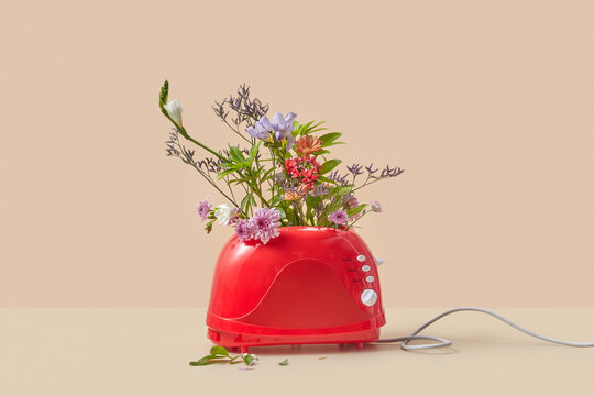 Spring flowers bouquet inside red toaster