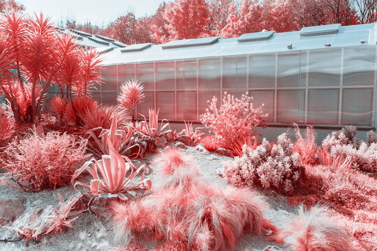 Infrared photography of glass building with plants