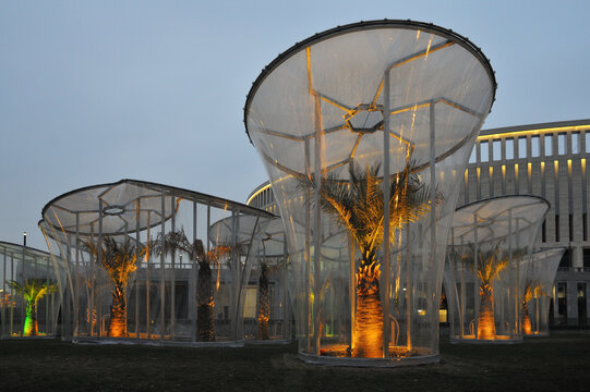 Trees under protective domes