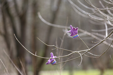 Children's woolen gloves. Knitted pink children's mittens hang on a tree branch. Lost things on the...