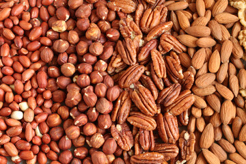 Raw peeled peanuts, hazelnuts, pecans, almonds and walnuts on a linen cloth. Closeup. Macro