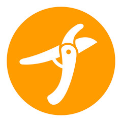 Pruning scissors, garden secateurs vector icon