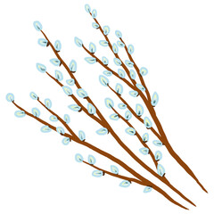 Branch of willow. 
Colored illustration of Willow (Verba). Willow branches with white fluffy buds. Easter symbol. Idea for an Easter card.