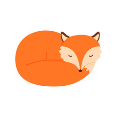 Illustration cute sleeping fox. Vector illustration isolated.