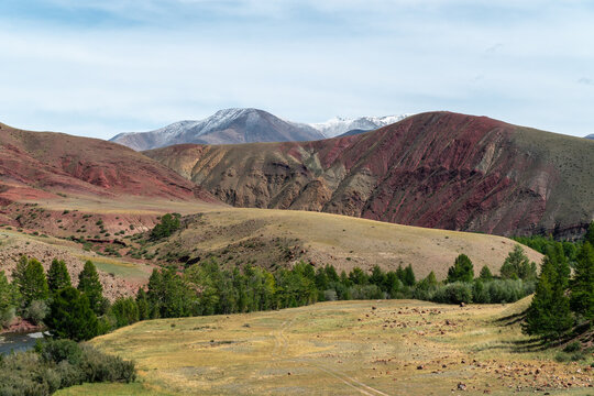 Mountain landscape