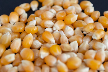 maíz palolmitas alimento