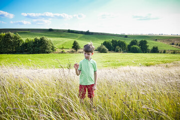 Naklejka na ściany i meble Cute little boy with spikelet in field, space for text. Child spending time in nature. Healthy lifestyle with kids on fresh air
