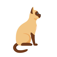 Siamese cat sitting in profile. Cute thai domestic cat. Illustration in flat style.